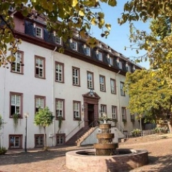 Das Leininger Schloss
